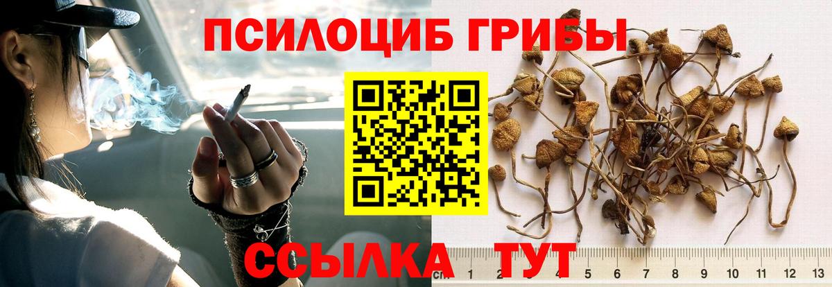 Галлюциногенные грибы MAGIC MUSHROOMS Сосновый Бор