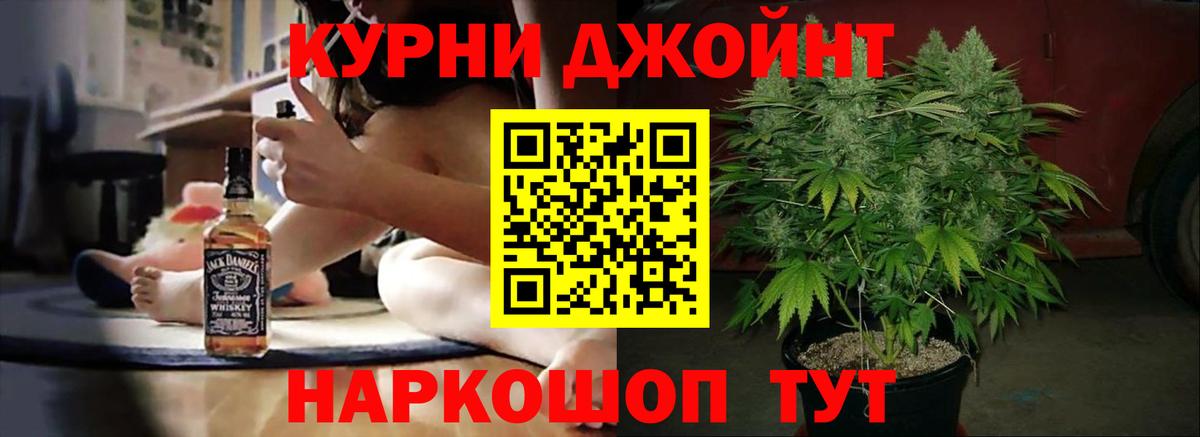 Конопля сатива Сосновый Бор